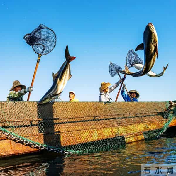 突破千亿！“海上新广东”新闻发布会透露湛江重磅信息→