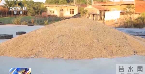 新型“购粮洗钱”骗局曝光,警方提醒