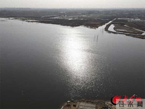 郓城县郭屯镇车楼村：“塌陷区”变“聚宝盆” 特色水产养殖激活乡村振兴一池春水