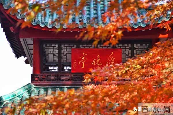 请想好，现在当村书记，就是坐在了火上烤