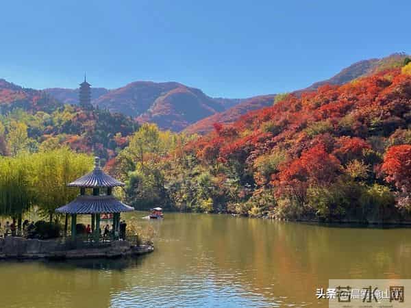 请想好，现在当村书记，就是坐在了火上烤