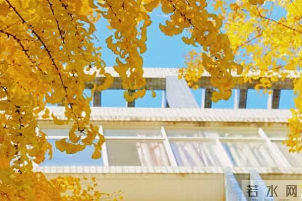 老话说“最怕十月二十五晴天”，今日十月廿五，出现天晴有啥说法