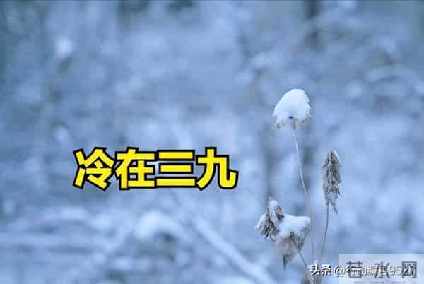 今冬三九全在冬月，千年农谚竟成真？今年是暖冬还是冷到哭？