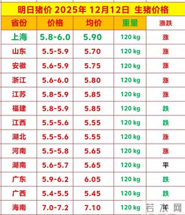 明日猪价 2025.12.12生猪价格行情 猪价继续上涨