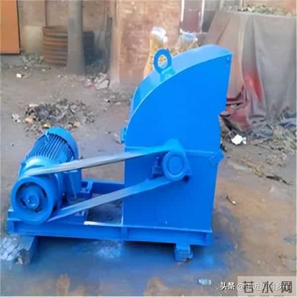 农村6种"零成本"饲料晒干粉碎喂羊，成本降一半！养殖户必看