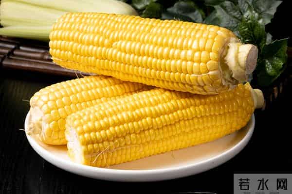 12月14日玉米价格反弹，优质粮溢价凸显，囤货认准它！