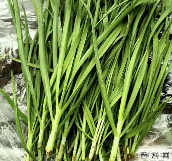 冬天买菜避开这5种！不是吓唬你，太多人还在买