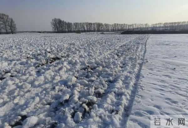 今年三九天，"十年不遇"，今年冬天到底会不会冷？