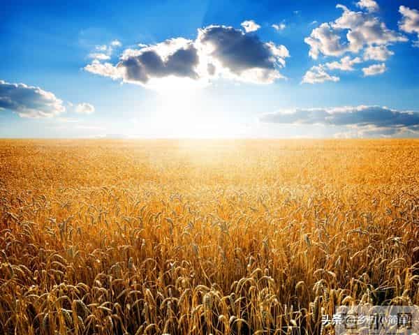 “十月廿五晴，遍地起坟头”，明日十月廿五，十月廿五晴啥预兆？