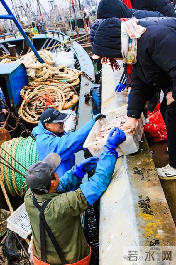 寒潮将至,渔港沸腾!今早,日照这里“鲜”货扎堆!这种鱼按筐买,4元一斤!