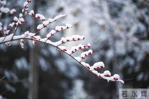 23点03分冬至，老话“早冬至，大雪堵门”，今冬偏冷吗？早了解