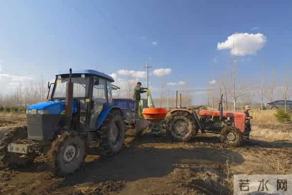 尿素这样用，肥效拉满不浪费