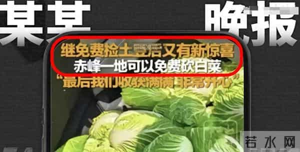 内蒙古哄抢白菜事件2次反转！蓝V媒体接力传谣, 背后藏着什么问题