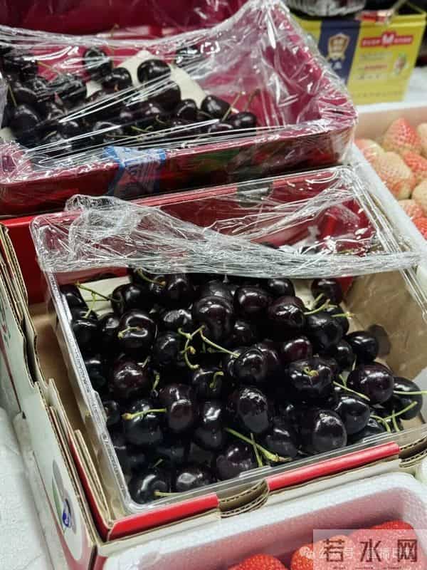 60-80元-斤！日照开始上市！很多人爱吃，价格还可以再等等…