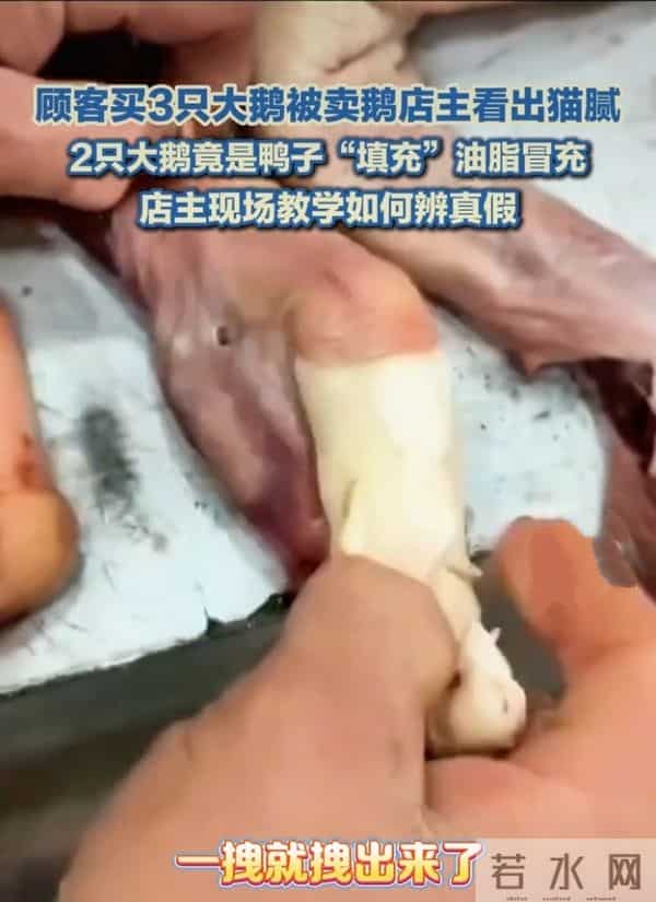 警惕！你买的“大鹅”可能不是鹅！揭秘市场新型“冒牌货”陷阱！