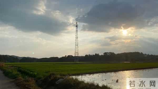 农村复杂到什么程度了？可能已经超出大多数人的认知了