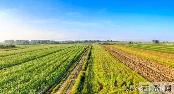 x镇x村x村民组农村土地二轮承包到期后再延长30年实施方案