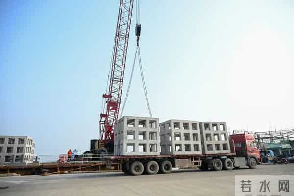 洋浦港区航道改扩建工程：开展生态投放，助力航运与生态和谐共生！