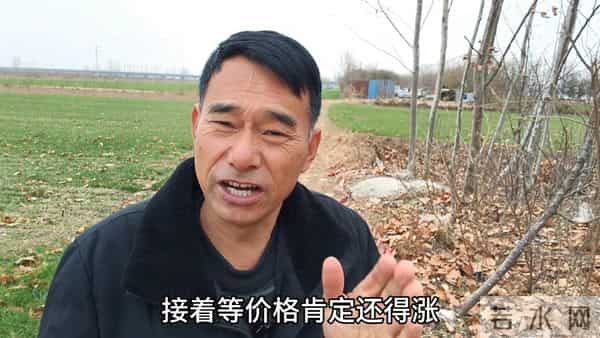 手里有玉米别急卖，还能涨玉米又涨价了！