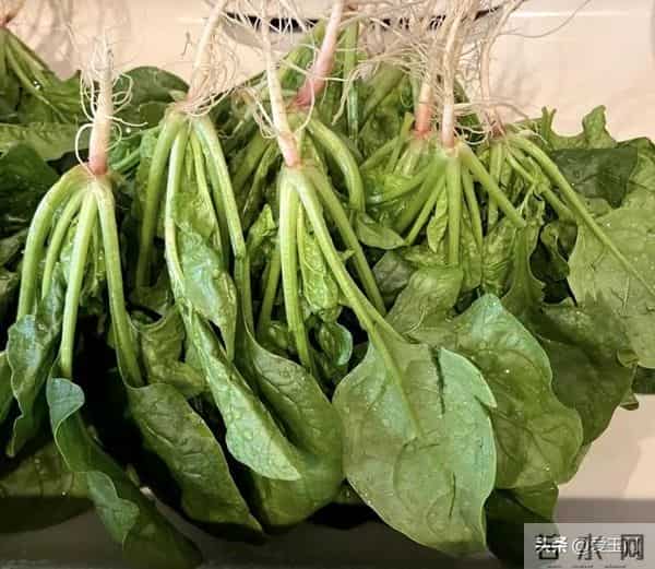 冬天买菜避开这5种！不是吓唬你，太多人还在买