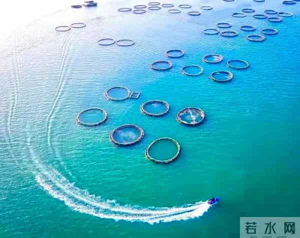 突破千亿！“海上新广东”新闻发布会透露湛江重磅信息→