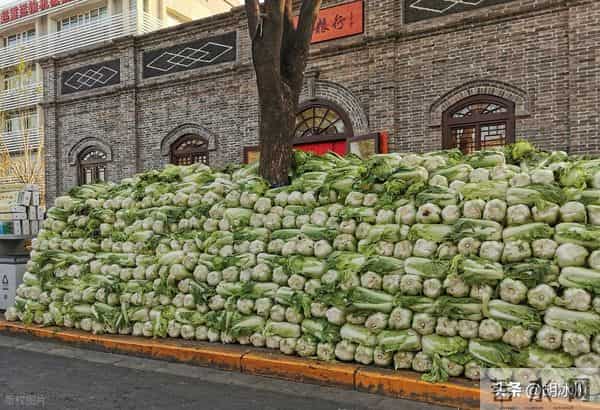 中国蔬菜为啥这么便宜？一个让人破防的视角