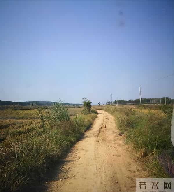 老太破坏水泥路后续:原因曝光,老太很委屈,村干部曝更多隐情