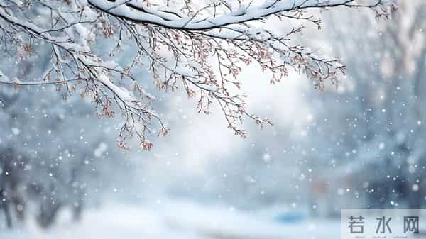 21号入九，今年入九不一般，总结“3大特点”，今冬会很冷吗？