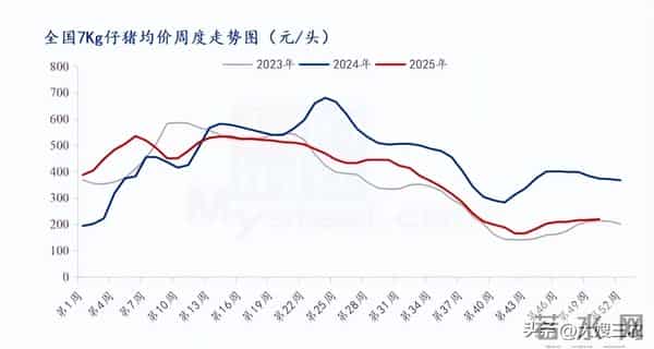 【今日猪价】12月14日 生猪价格继续反弹，十五个省份猪价上涨！