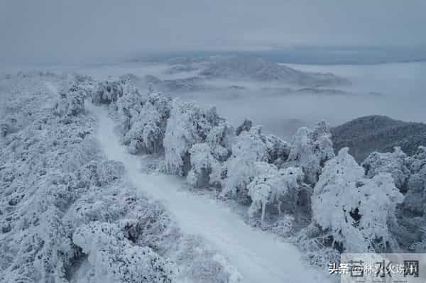 “大雪多不多，看十月廿一”，今日十月廿一，今冬是冷冬还是暖冬