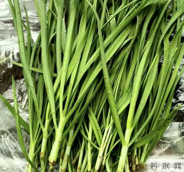 劝告:冬天,尽量不要买这5种蔬菜,看过就知道为什么!