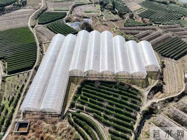 富阳这个网红村，游客车辆从山脚排到村里！