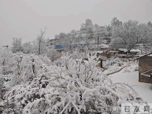 “三九冷不冷，就看十月廿三”，今日十月廿三，今年会是寒冬吗？答案来了！