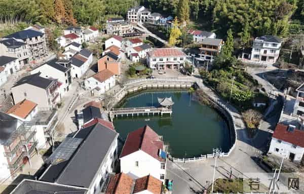 富阳这个网红村，游客车辆从山脚排到村里！