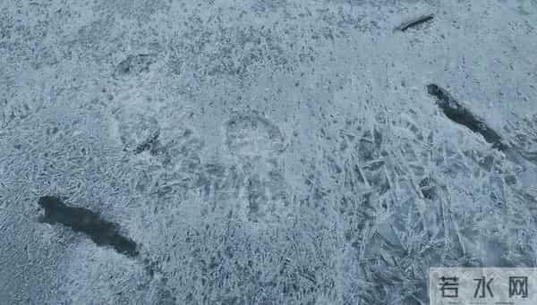 今年三九不一般，“三九在冬，单衣过冬”，今冬冷不冷？早了解