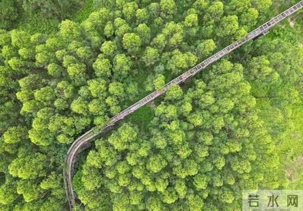 历时14年修成的广东“红旗渠”，如今荒废在山野，被时光遗忘！