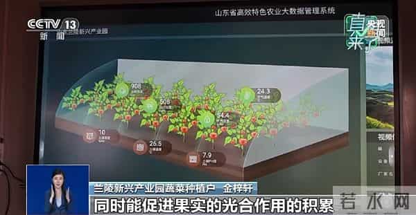 网传“反季节蔬菜吃了等于白吃”是真的吗？专家辟谣