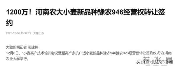 黄淮南片“第一麦”:豫农946,单品价值1200万元