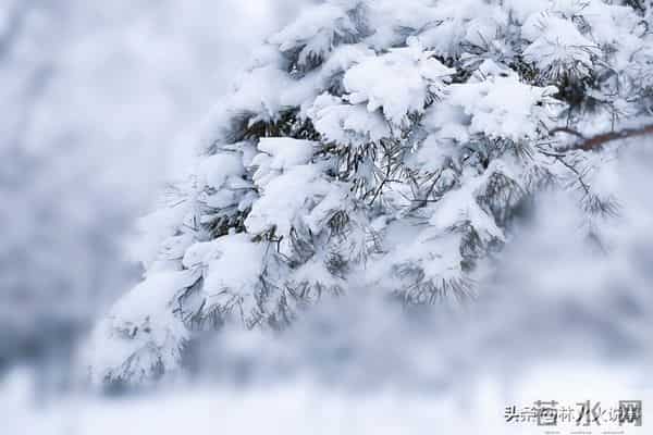 “白天冬至雪堵门，晚上冬至暖烘烘”，今年冬至几点？有啥说法？