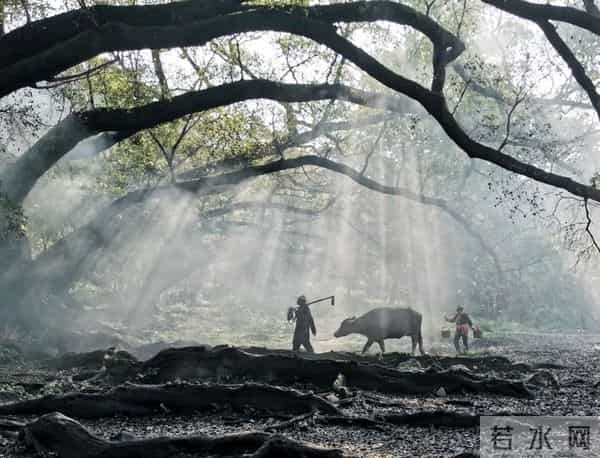 老话说“最怕十月二十五晴天”，今日十月廿五，出现天晴有啥说法