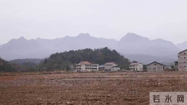 12个乡镇78个村！桃源17.53万亩高标准农田建设全面铺开