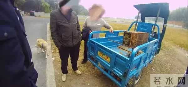 两派蜜蜂打起来了，伤亡惨重！民警直接上门……