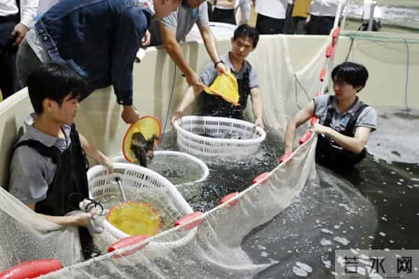 总投资63．9亿元！这座“智慧渔城”正在柳江拔节生长