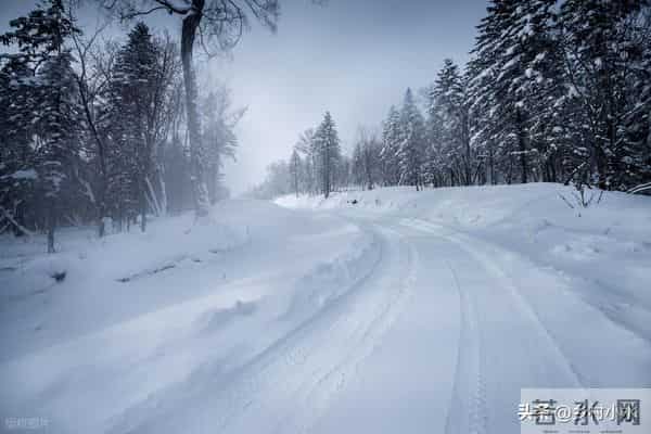 今冬数九时间表来了！从哪天开始入九？春节在几九？过年很冷吗？