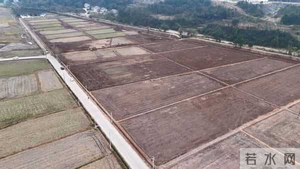 12个乡镇78个村！桃源17.53万亩高标准农田建设全面铺开
