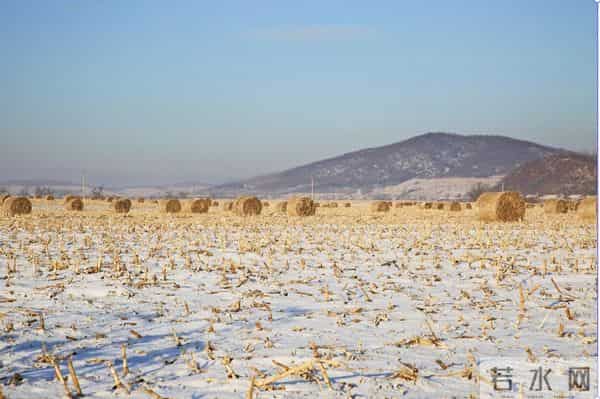 十八年一遇！三九天全在冬月，老祖宗留下的农谚今年还准吗？