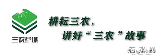 重磅定调：2026国家给农民3大支持，关乎咱收入、社保、生活