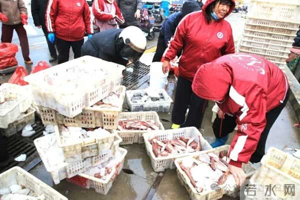 寒潮将至,渔港沸腾!今早,日照这里“鲜”货扎堆!这种鱼按筐买,4元一斤!
