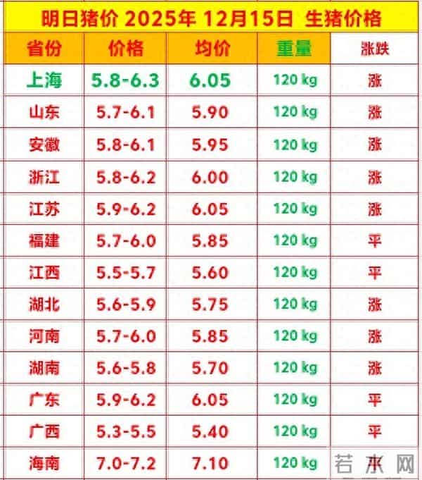 明日猪价 2025.12.15生猪价格行情涨跌表 14省涨破6元 猪价继续上涨