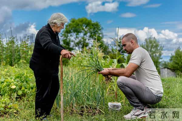 冷门植物竟成救星？西方26国联手验证：植物自然化肥吊打工业化肥